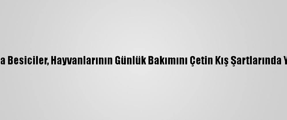 Sivas'ta Besiciler, Hayvanlarının Günlük Bakımını Çetin Kış Şartlarında Yapıyor