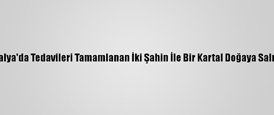 Antalya'da Tedavileri Tamamlanan İki Şahin İle Bir Kartal Doğaya Salındı