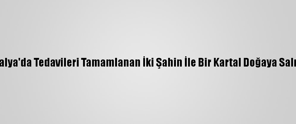 Antalya'da Tedavileri Tamamlanan İki Şahin İle Bir Kartal Doğaya Salındı