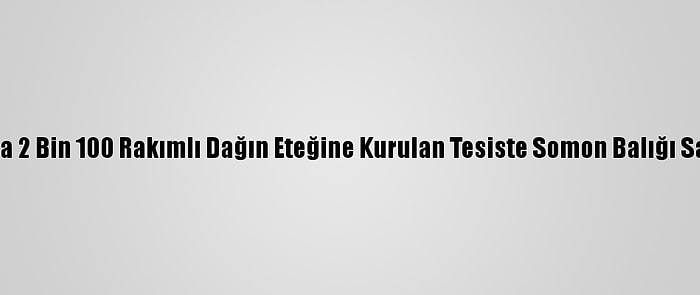 Muş'ta 2 Bin 100 Rakımlı Dağın Eteğine Kurulan Tesiste Somon Balığı Sağımı