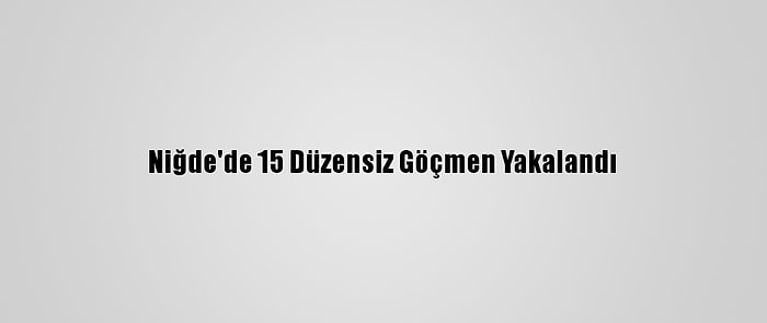 Niğde'de 15 Düzensiz Göçmen Yakalandı