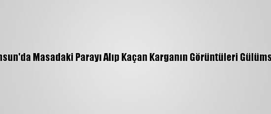 Samsun'da Masadaki Parayı Alıp Kaçan Karganın Görüntüleri Gülümsetti