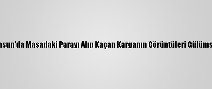 Samsun'da Masadaki Parayı Alıp Kaçan Karganın Görüntüleri Gülümsetti