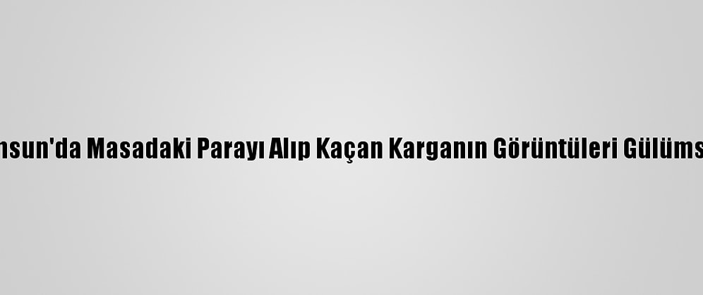 Samsun'da Masadaki Parayı Alıp Kaçan Karganın Görüntüleri Gülümsetti