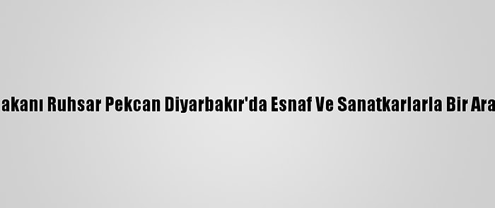 Ticaret Bakanı Ruhsar Pekcan Diyarbakır'da Esnaf Ve Sanatkarlarla Bir Araya Geldi: