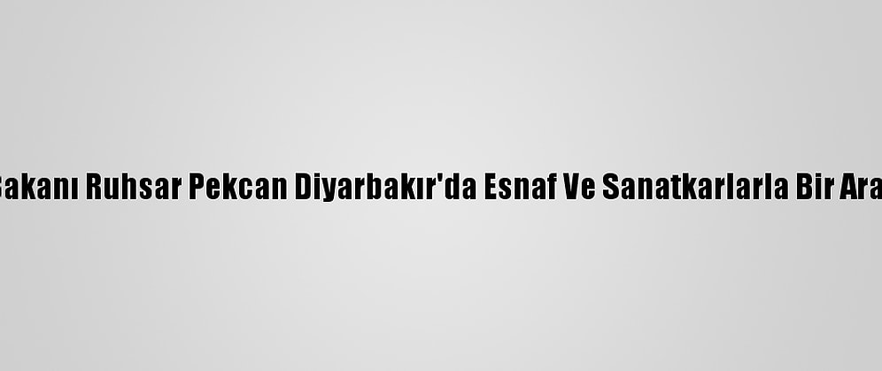Ticaret Bakanı Ruhsar Pekcan Diyarbakır'da Esnaf Ve Sanatkarlarla Bir Araya Geldi: