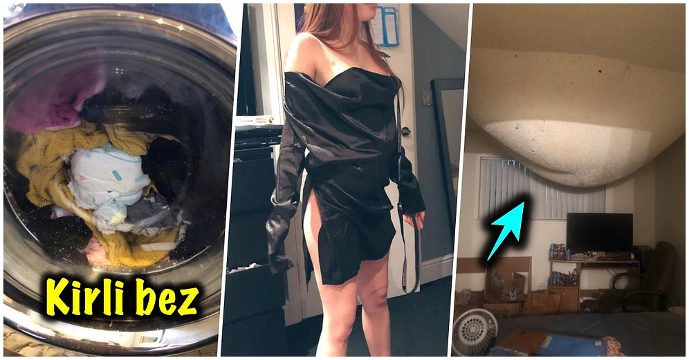 Çöle Düşse Kutup Ayılarıyla Karşılaşıp Birtakım Tatsız Olaylar Yaşayabilecek 15 Bahtsız Kişi