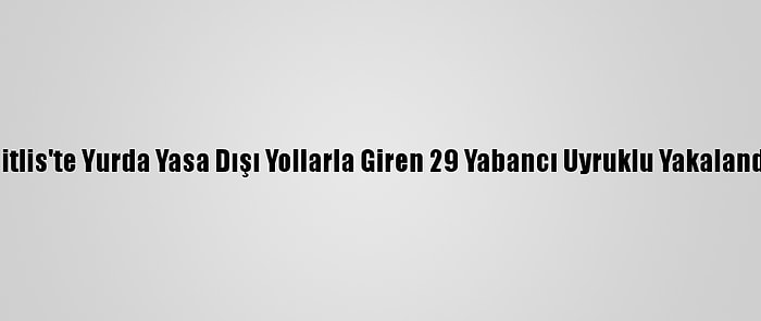 Bitlis'te Yurda Yasa Dışı Yollarla Giren 29 Yabancı Uyruklu Yakalandı