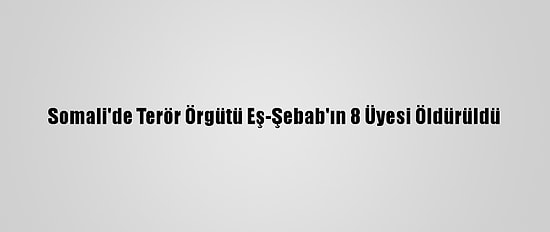 Somali'de Terör Örgütü Eş-Şebab'ın 8 Üyesi Öldürüldü