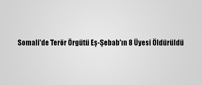 Somali'de Terör Örgütü Eş-Şebab'ın 8 Üyesi Öldürüldü