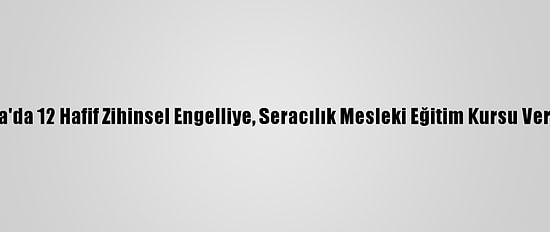 Yalova'da 12 Hafif Zihinsel Engelliye, Seracılık Mesleki Eğitim Kursu Veriliyor