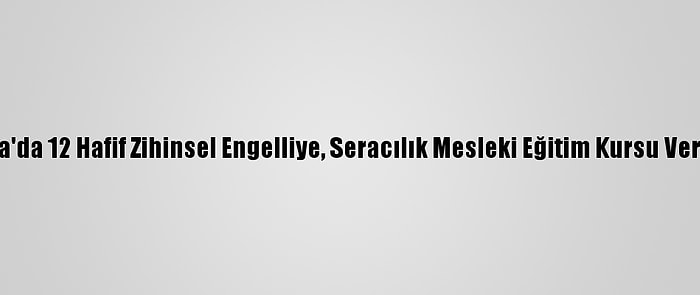 Yalova'da 12 Hafif Zihinsel Engelliye, Seracılık Mesleki Eğitim Kursu Veriliyor