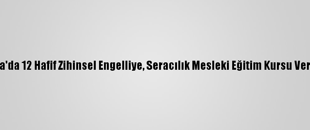 Yalova'da 12 Hafif Zihinsel Engelliye, Seracılık Mesleki Eğitim Kursu Veriliyor