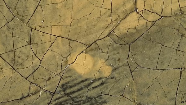 Команда также создала веб-сайт (ссылка ниже под фото), который позволяет любому желающему увидеть картину крупным планом, а также ее трехмерный вид.