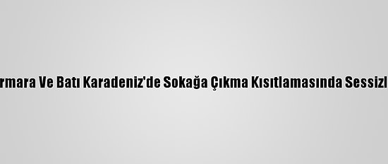 Doğu Marmara Ve Batı Karadeniz'de Sokağa Çıkma Kısıtlamasında Sessizlik Hakim
