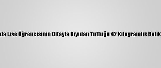 Antalya'da Lise Öğrencisinin Oltayla Kıyıdan Tuttuğu 42 Kilogramlık Balık Şaşırttı