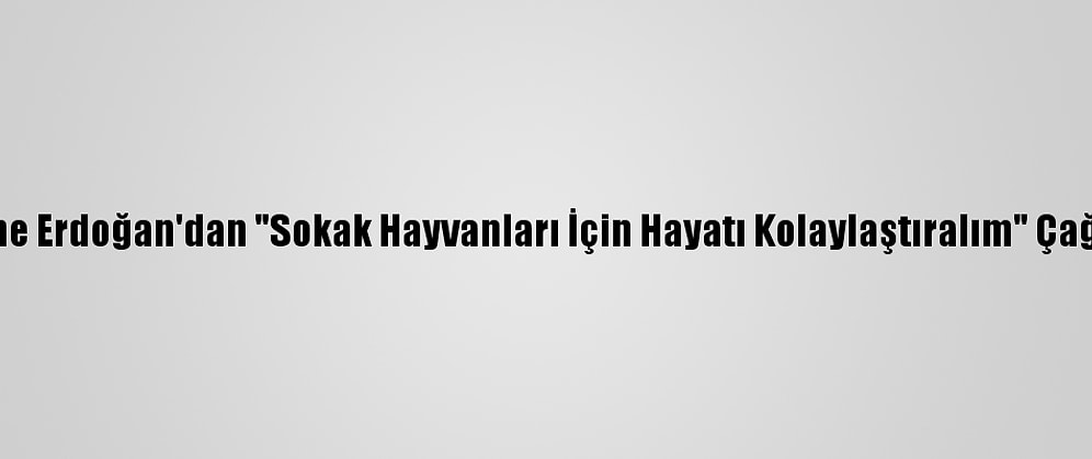 Emine Erdoğan'dan "Sokak Hayvanları İçin Hayatı Kolaylaştıralım" Çağrısı: