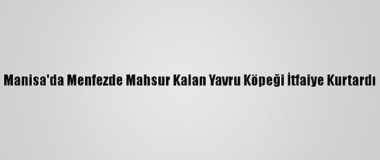 Manisa'da Menfezde Mahsur Kalan Yavru Köpeği İtfaiye Kurtardı
