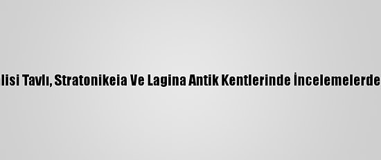 Muğla Valisi Tavlı, Stratonikeia Ve Lagina Antik Kentlerinde İncelemelerde Bulundu