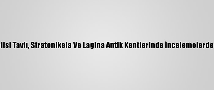 Muğla Valisi Tavlı, Stratonikeia Ve Lagina Antik Kentlerinde İncelemelerde Bulundu