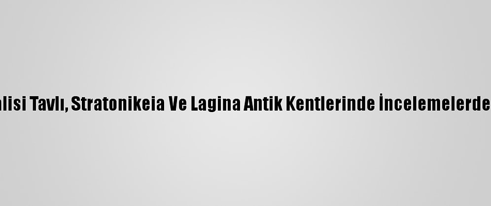 Muğla Valisi Tavlı, Stratonikeia Ve Lagina Antik Kentlerinde İncelemelerde Bulundu