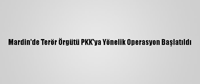 Mardin'de Terör Örgütü PKK'ya Yönelik Operasyon Başlatıldı