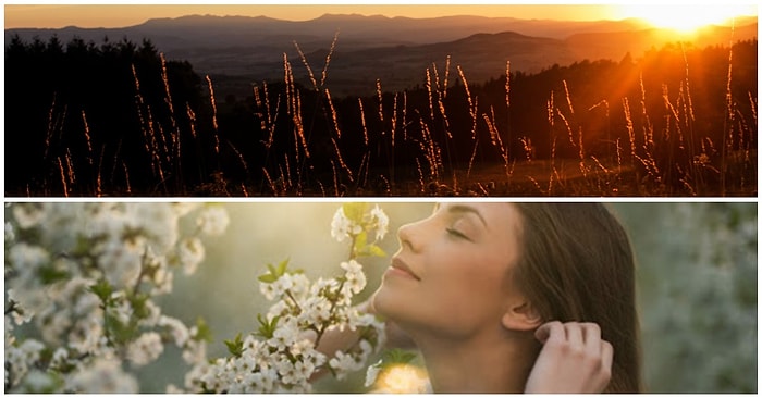 Ahmet Baran Yazio: Umuda Provoke Eden Günaydınlar