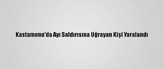 Kastamonu'da Ayı Saldırısına Uğrayan Kişi Yaralandı