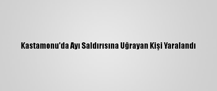 Kastamonu'da Ayı Saldırısına Uğrayan Kişi Yaralandı