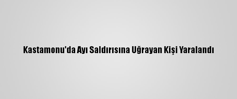 Kastamonu'da Ayı Saldırısına Uğrayan Kişi Yaralandı