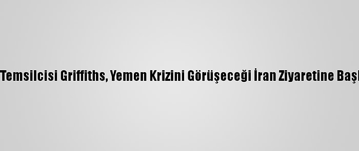 Bm Temsilcisi Griffiths, Yemen Krizini Görüşeceği İran Ziyaretine Başladı