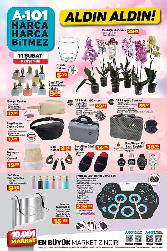 Beton saksılı küçük kaktüsler 9,95 TL'ye satışta olacak.