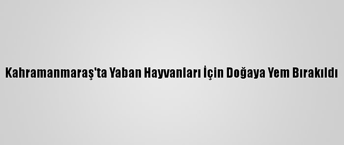 Kahramanmaraş'ta Yaban Hayvanları İçin Doğaya Yem Bırakıldı