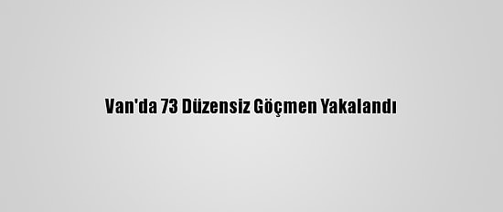 Van'da 73 Düzensiz Göçmen Yakalandı