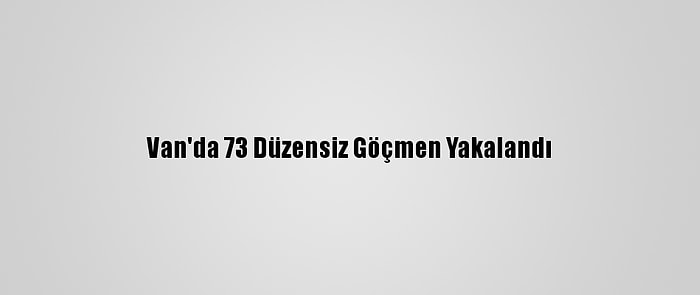 Van'da 73 Düzensiz Göçmen Yakalandı