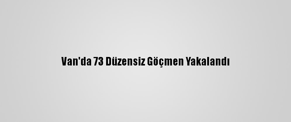 Van'da 73 Düzensiz Göçmen Yakalandı