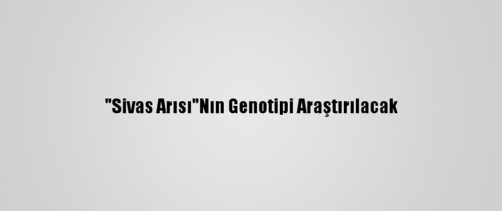 "Sivas Arısı"Nın Genotipi Araştırılacak