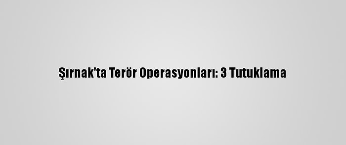 Şırnak'ta Terör Operasyonları: 3 Tutuklama