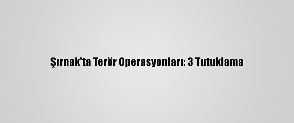 Şırnak'ta Terör Operasyonları: 3 Tutuklama