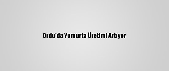 Ordu'da Yumurta Üretimi Artıyor