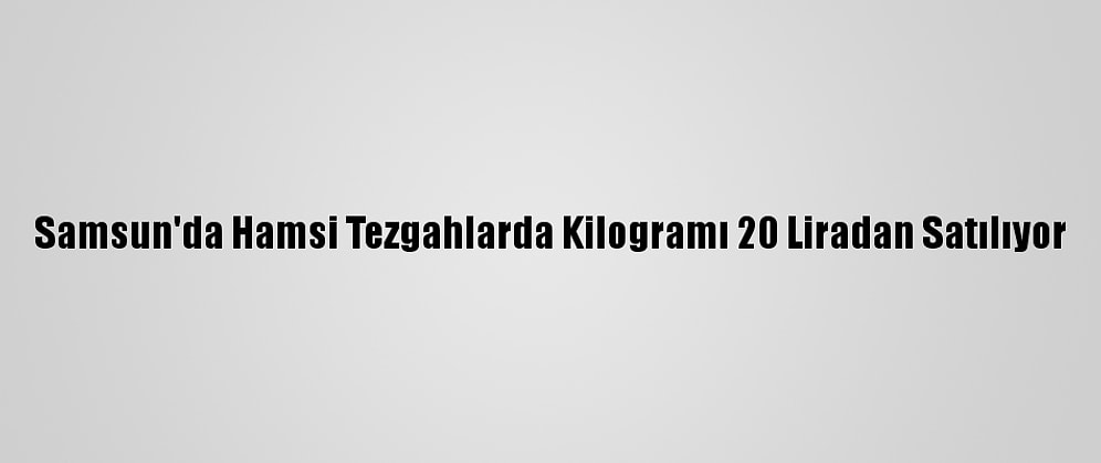 Samsun'da Hamsi Tezgahlarda Kilogramı 20 Liradan Satılıyor