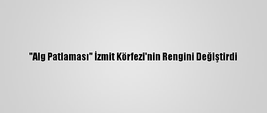 "Alg Patlaması" İzmit Körfezi'nin Rengini Değiştirdi
