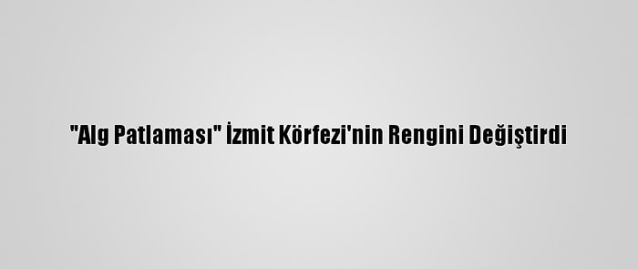 "Alg Patlaması" İzmit Körfezi'nin Rengini Değiştirdi