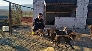Hasret Kaldığımız Haberler: Felçli Köpeğe Su Borusundan 'Yürüteç' Yaptı