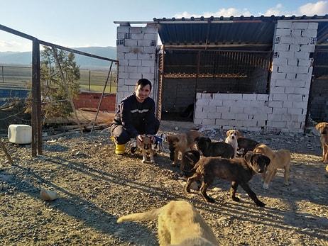 Hasret Kaldığımız Haberler: Felçli Köpeğe Su Borusundan 'Yürüteç' Yaptı