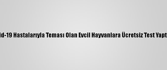 Seul'de Kovid-19 Hastalarıyla Teması Olan Evcil Hayvanlara Ücretsiz Test Yaptırılabilecek