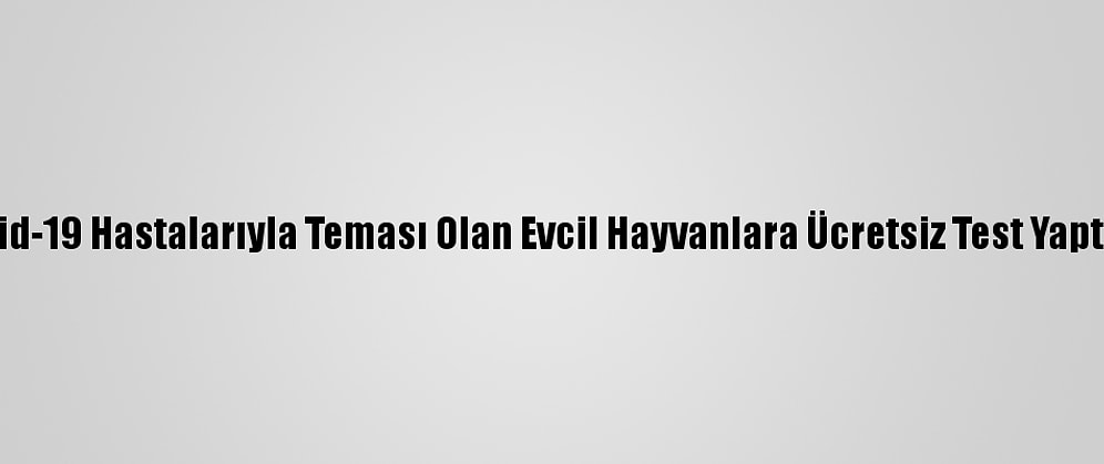 Seul'de Kovid-19 Hastalarıyla Teması Olan Evcil Hayvanlara Ücretsiz Test Yaptırılabilecek