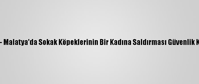 Güncelleme - Malatya'da Sokak Köpeklerinin Bir Kadına Saldırması Güvenlik Kamerasında