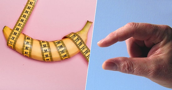 Bazılarına "Boşa Kürek Çekmişim" Dedirtecek Erkek Cinsel Organının Boyutuyla İlgili Doğru Bilinen Yanlışlar