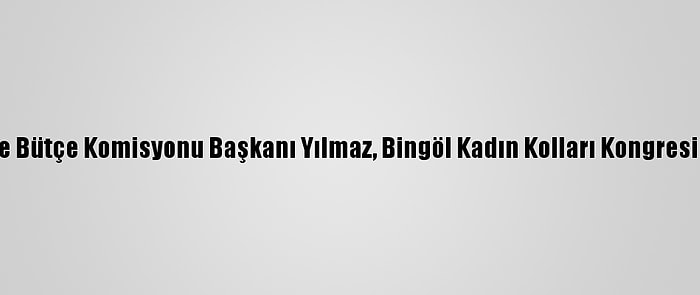 Tbmm Plan Ve Bütçe Komisyonu Başkanı Yılmaz, Bingöl Kadın Kolları Kongresinde Konuştu: